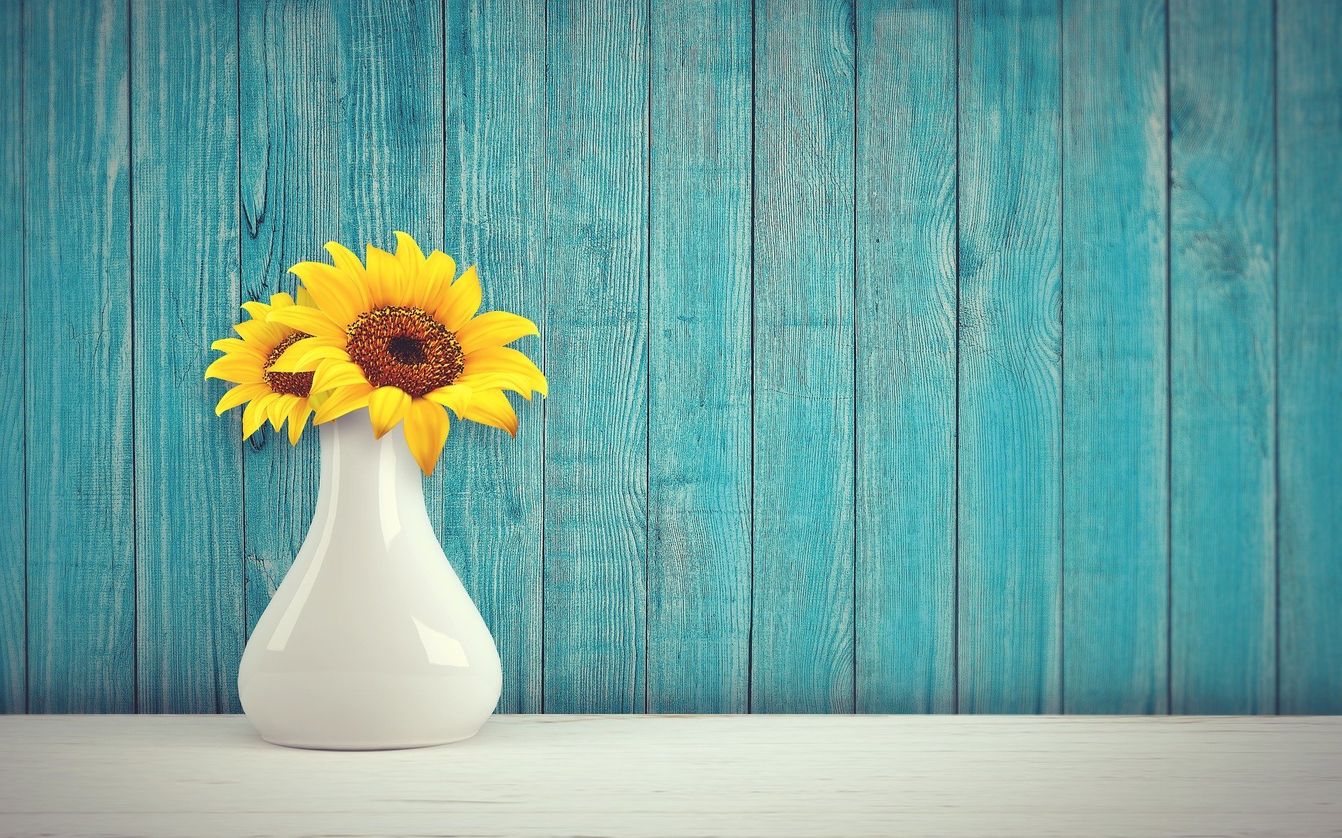 sunflower-3292932_1920